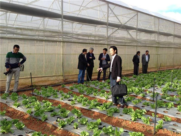 Tuyển nam lao động đi 1 năm làm nông nghiệp – cơ hội không thể bỏ qua